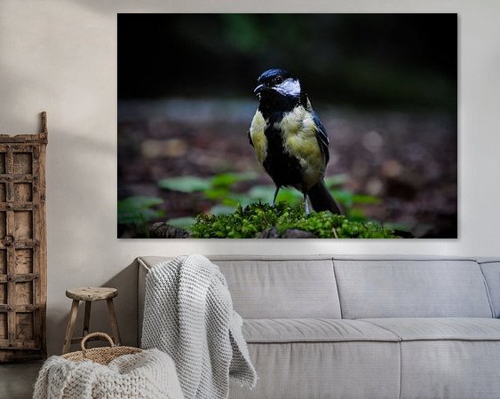 Aperçu de la chambre