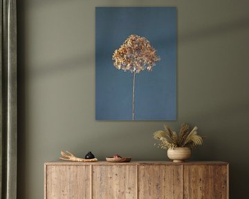 Winter Hydrangea with filigree leaf by Atelier Meta Scheltes