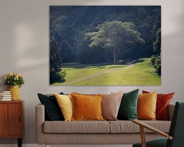 Trees and forest around the golf field by Anges van der Logt