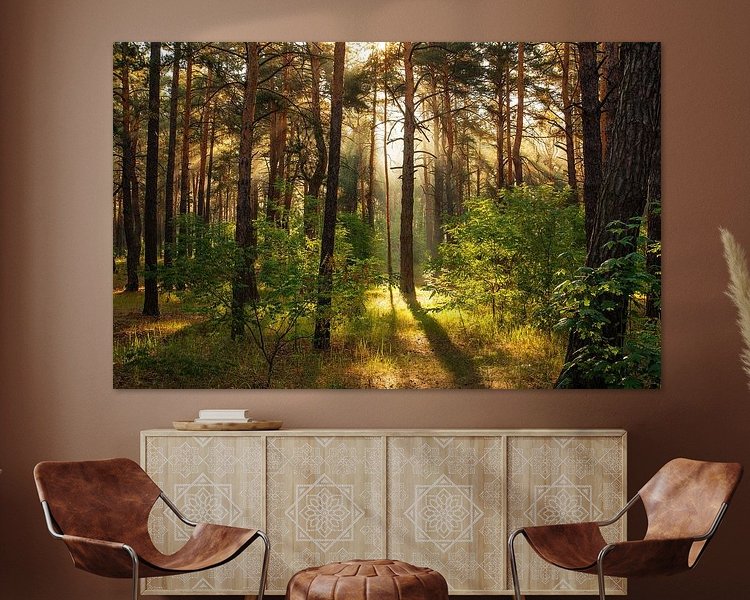 Voorbeeld van het werk in een kamer