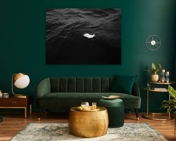 Floating feather with drop of water - moody photography print by Laurie Karine van Dam