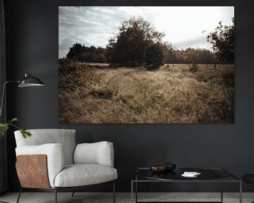 Dromerig grasveld Loonse en Drunense Duinen - natuurfotografie print van Laurie Karine van Dam