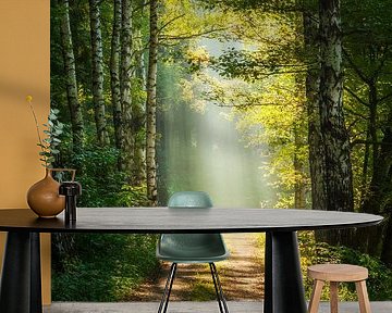 Weg ins Licht von Daniela Beyer