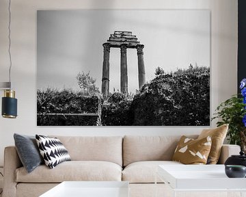 Zuilen in Forum Romanum | Rome, Italie | Zwart-wit | Reisfotografie van Monique Tekstra-van Lochem