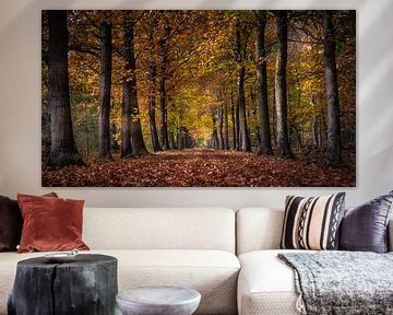 Waldweg in Herbstfarben von Harold van den Hurk