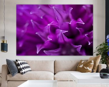 Macro opname van lila paarse bieslook bloem van Marianne van der Zee