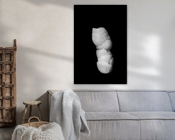 Gebroken eierschalen als abstract stilleven in zwart wit van Marianne van der Zee