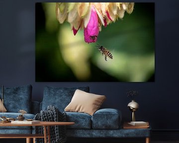 Blumen und Bienen von Marlies Gerritsen Photography