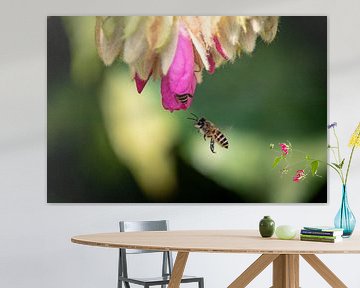 Blumen und Bienen von Marlies Gerritsen Photography