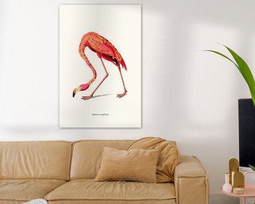 Boho Flamingo van Jonas Loose
