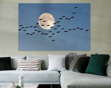 Flight of cranes with the moon by Corinne Welp