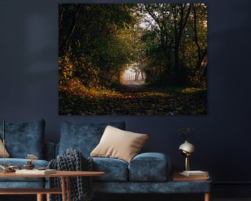 Tunnel der Natuur II, Oranjezon, Oostkapelle van Joren van den Bos