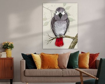 Grijze roodstaart papegaai aquarel