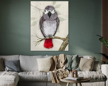 African grey parrot watercolor by Bianca Wisseloo