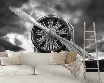 The radial engine in black and white