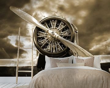 The radial engine -vintage-