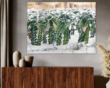 Spruitjes in de sneeuw van Elske Hazenberg