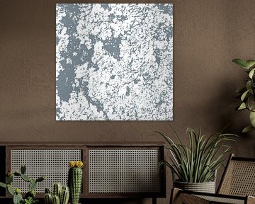 Abstract botanical wabi-sabi art: moss in grey by Dina Dankers