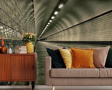 tunnel vision by Jo Beerens