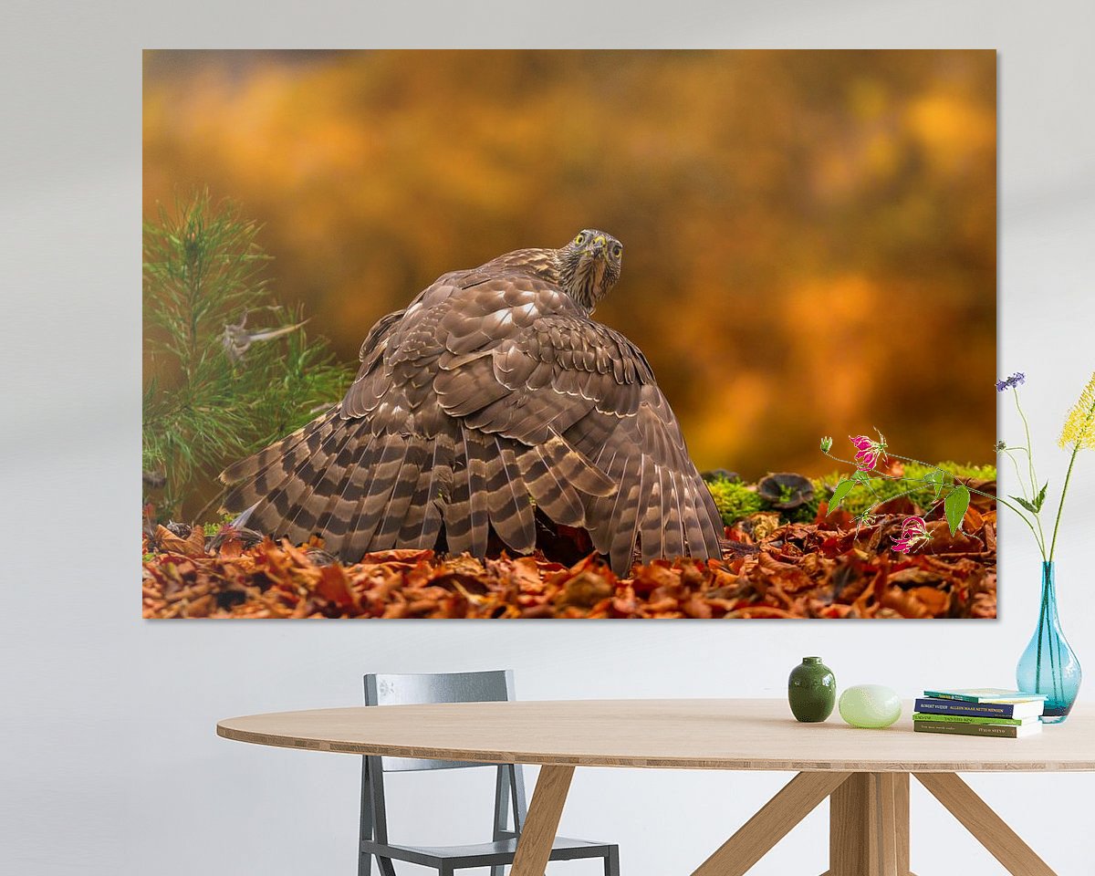 Voorbeeld van het werk in een kamer