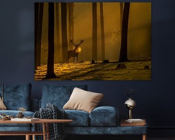 Edelhert tijdens zonsopgang in het bos