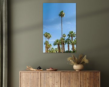 Gorgeous Palm Trees by Melanie Viola