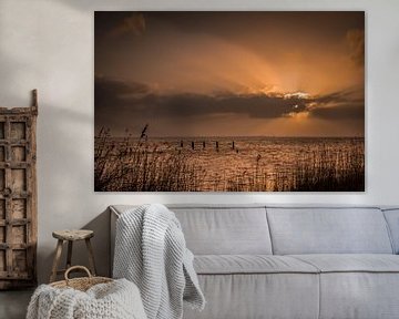 Sunrise on the tidal flats, North Holland by Jacomien Bartels