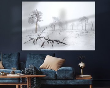 Winter in de Ardennen van Andy Luberti