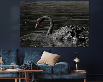 Zwarte zwaan van Anja Jansen