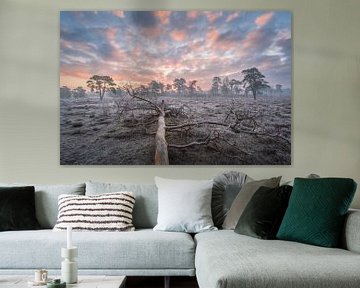 Dode boom tijdens zonsopkomst | Pastelkleur in de natuur van Marijn Alons