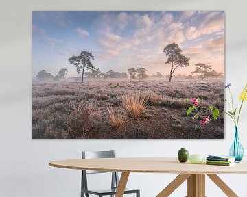 Photo de paysage avec de l'herbe et des arbres sur la lande | Lever de soleil sur la Veluwe sur Marijn Alons