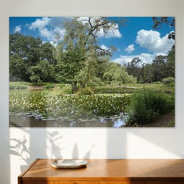 Unser Hainweiher in Bamberg