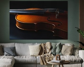liggende viool van Thomas Heitz