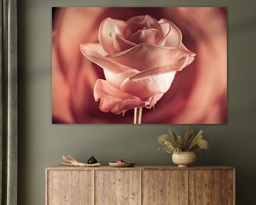 Vintage roos in warme tinten oranje en roze van Lisette Rijkers