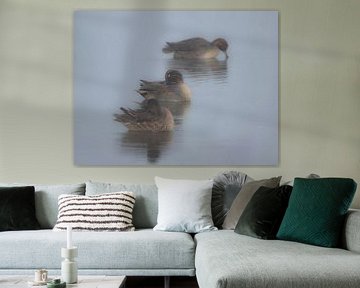 Eenden in de mist van Nathalie Jongedijk