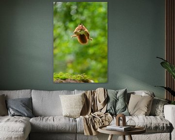Fliegendes Eichhörnchen von Ruud Engels
