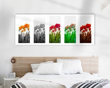 5 Farben der Tulpen von Alex Hiemstra