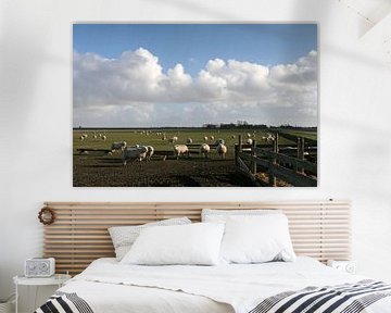 Schafe auf Texel von Antwan Janssen