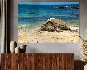 Hawaiiaanse groene zeeschildpad van Andrea Ooms