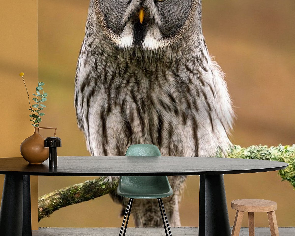 Raumvorschau