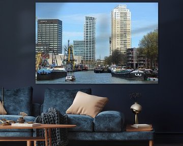 Rotterdam heeft vele gezichten  van Marcel van Duinen