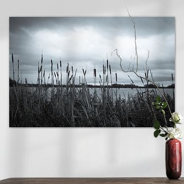 Paysage à travers les roseaux sur Gert-Jan Kamans