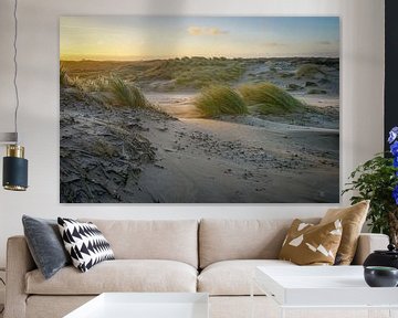 Ombre et lumière dans les dunes néerlandaises sur Dirk van Egmond