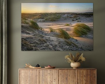 Ombre et lumière dans les dunes néerlandaises sur Dirk van Egmond