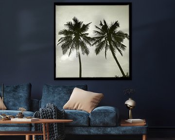 Palmbomen in zwartwit