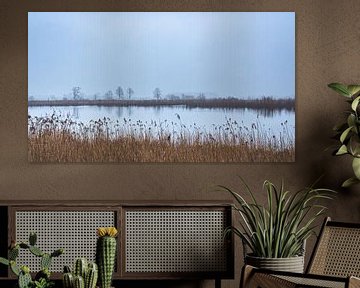 Neblige Morgendämmerung | Landschaft | Panorama von Daan Duvillier | Dsquared Photography