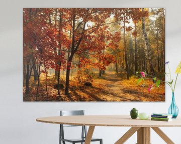 sunny autumn forest by Mykhailo Sherman