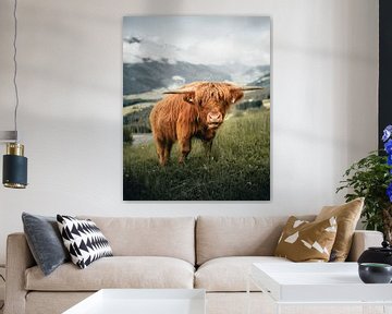 Highland cattle in green meadow in fog atmosphere in Mittersill Austria by Daniel Kogler