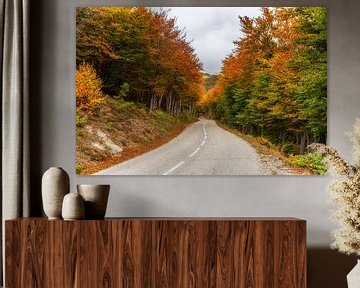 Autumn Road van Annemieke Linders