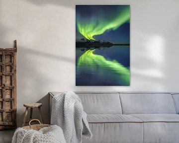 Aurora Borealis - Noorderlicht op de Lofoten van Dieter Meyrl